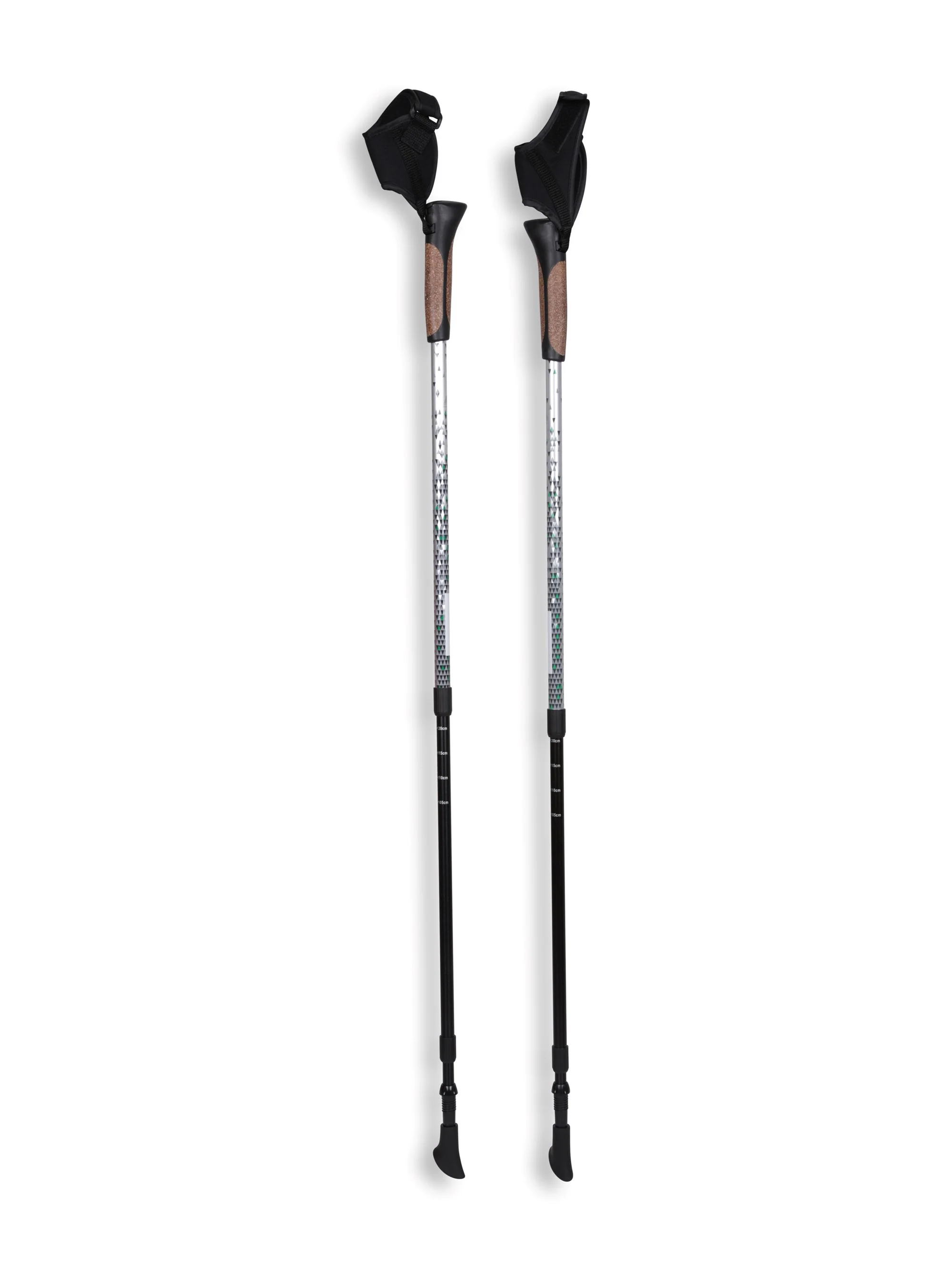 EMS Nordic Walking Pole