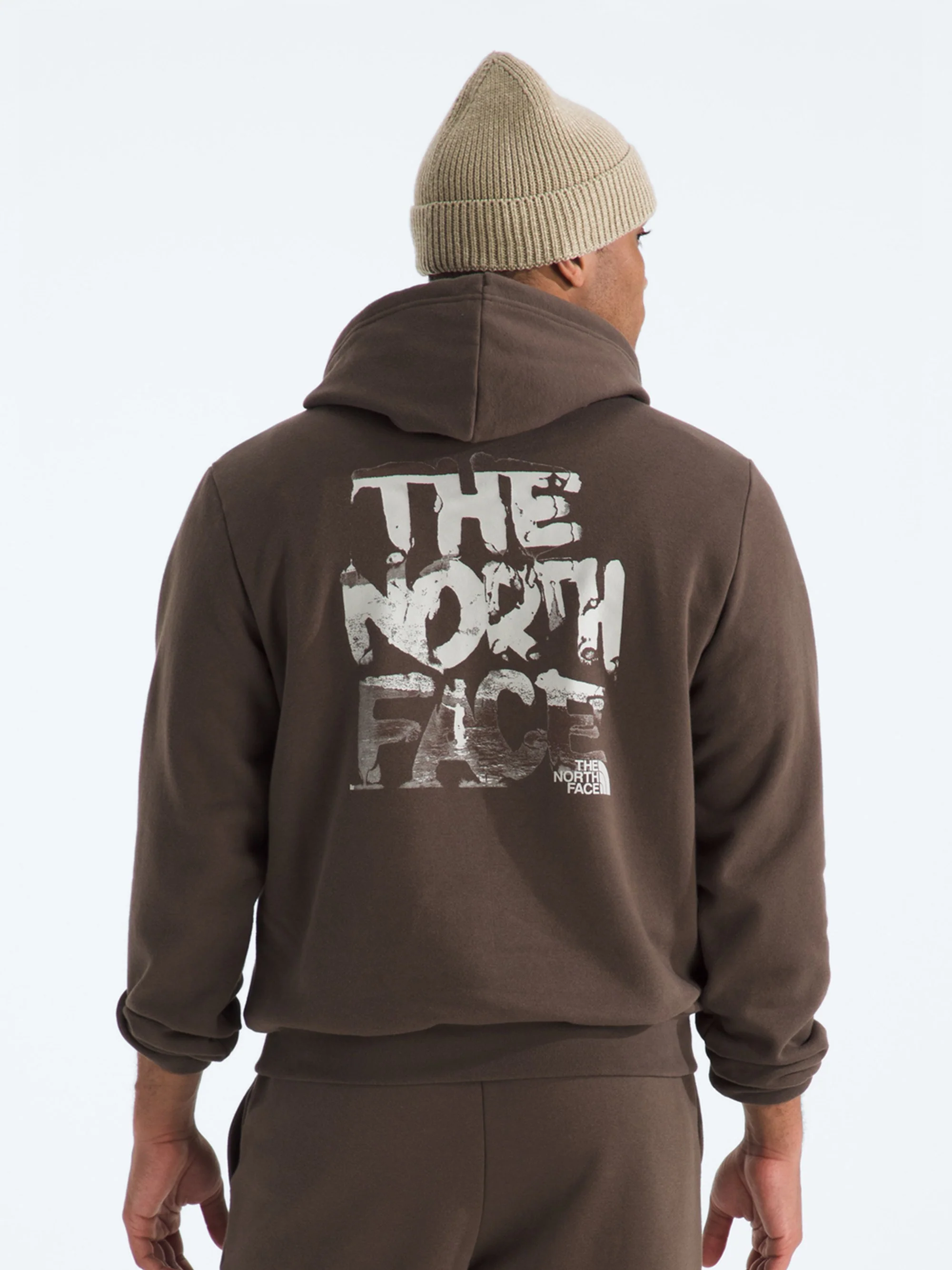 The North Face Mens Evolution Nature Exposure Graphic Hoodie - Image 2